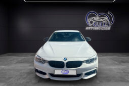 BMW SERIE 4 420D lleno
