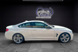 BMW SERIE 4 420D lleno