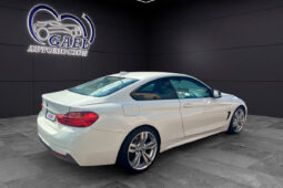 BMW SERIE 4 420D lleno