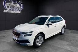 ŠKODA KAMIQ ACTIVE lleno