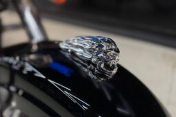 SUZUKI INTRUDER C800 lleno