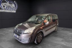 PEUGEOT PARTNER TEPEE lleno