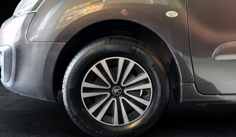 PEUGEOT PARTNER TEPEE lleno