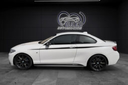 BMW Serie 2 M235i lleno